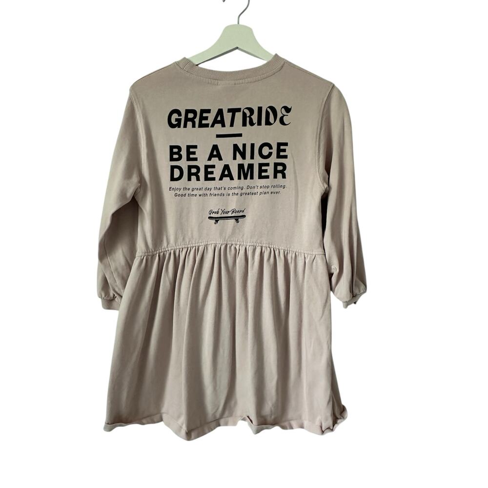 Zara Pink Skater Sweater Dress size 9